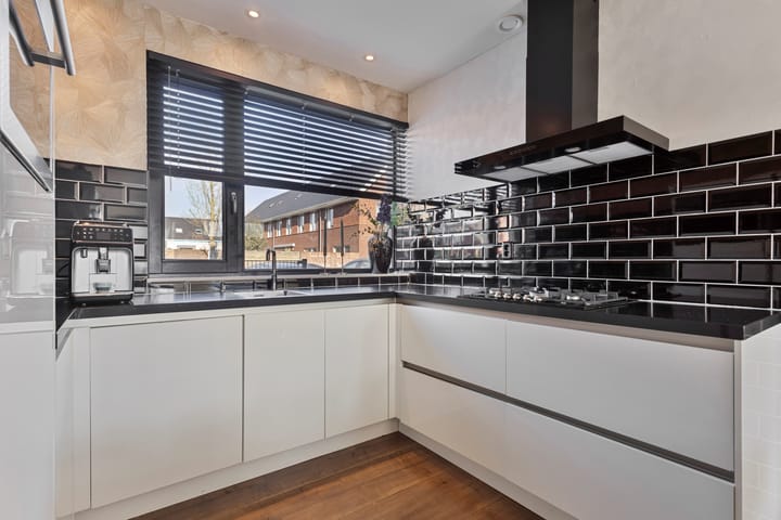 Foto 3 van Meerval 66