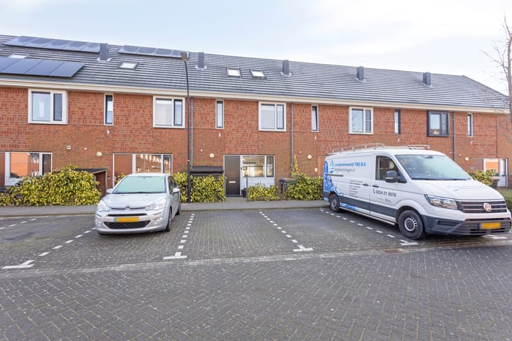 Foto 5 van Meerval 66