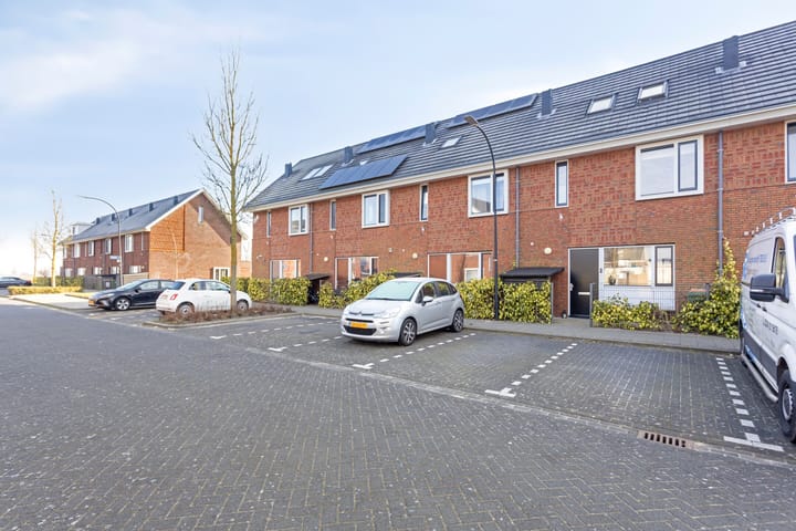 Foto 6 van Meerval 66