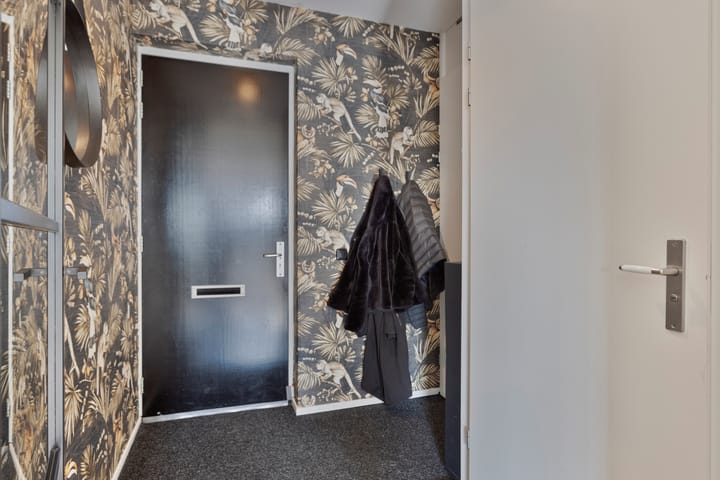 Foto 8 van Meerval 66