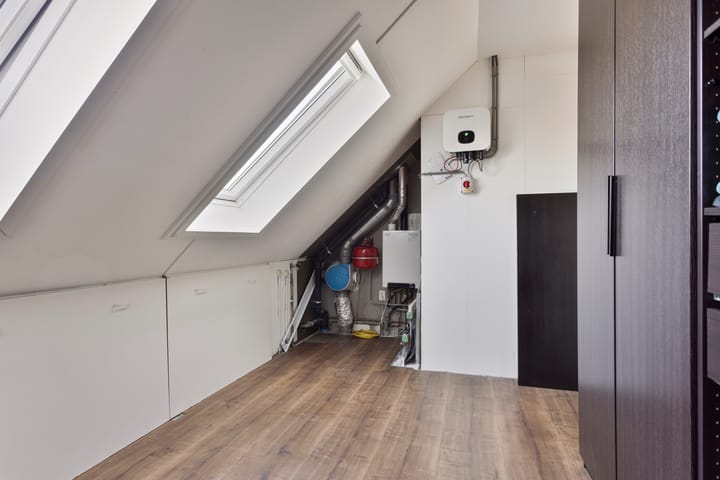 Foto 39 van Meerval 66