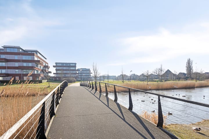 Foto 47 van Meerval 66