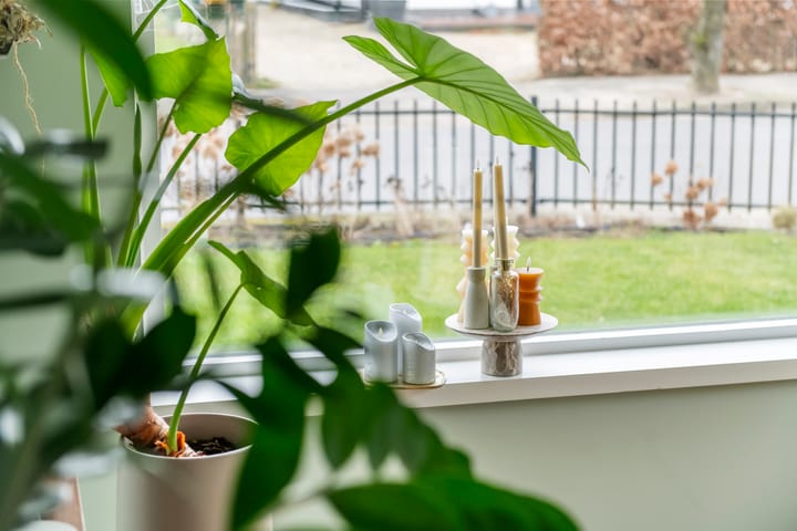 Foto 25 van Achterstraat 10