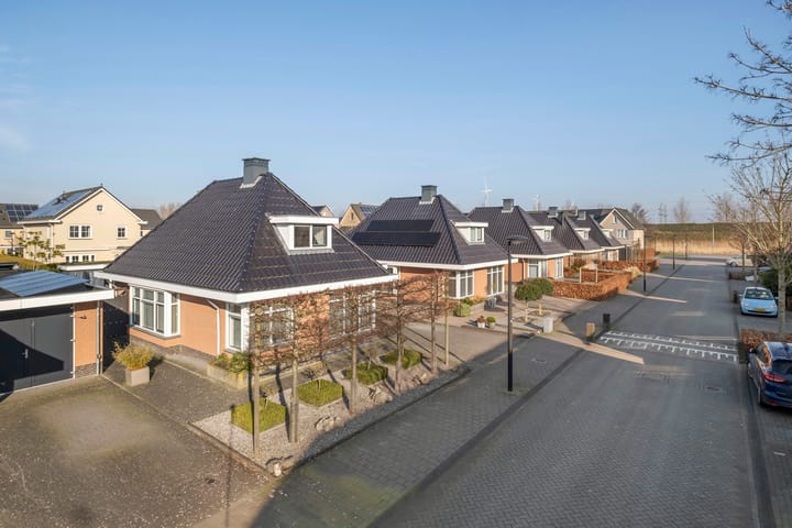 Foto 6 van Huidenkopersgilde 7