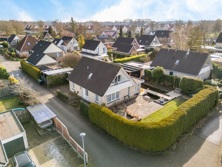 Foto 1 van Rietgans 10