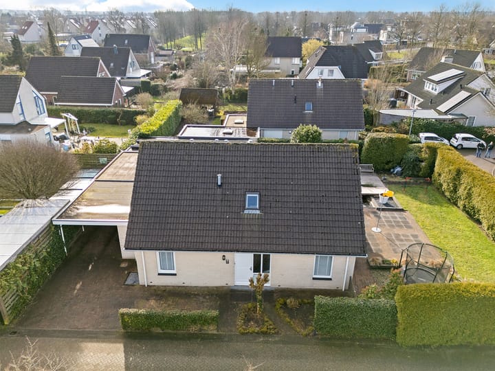 Foto 4 van Rietgans 10