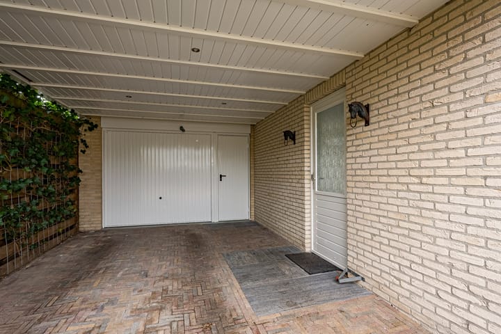 Foto 20 van Rietgans 10