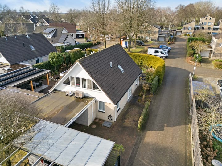 Foto 43 van Rietgans 10