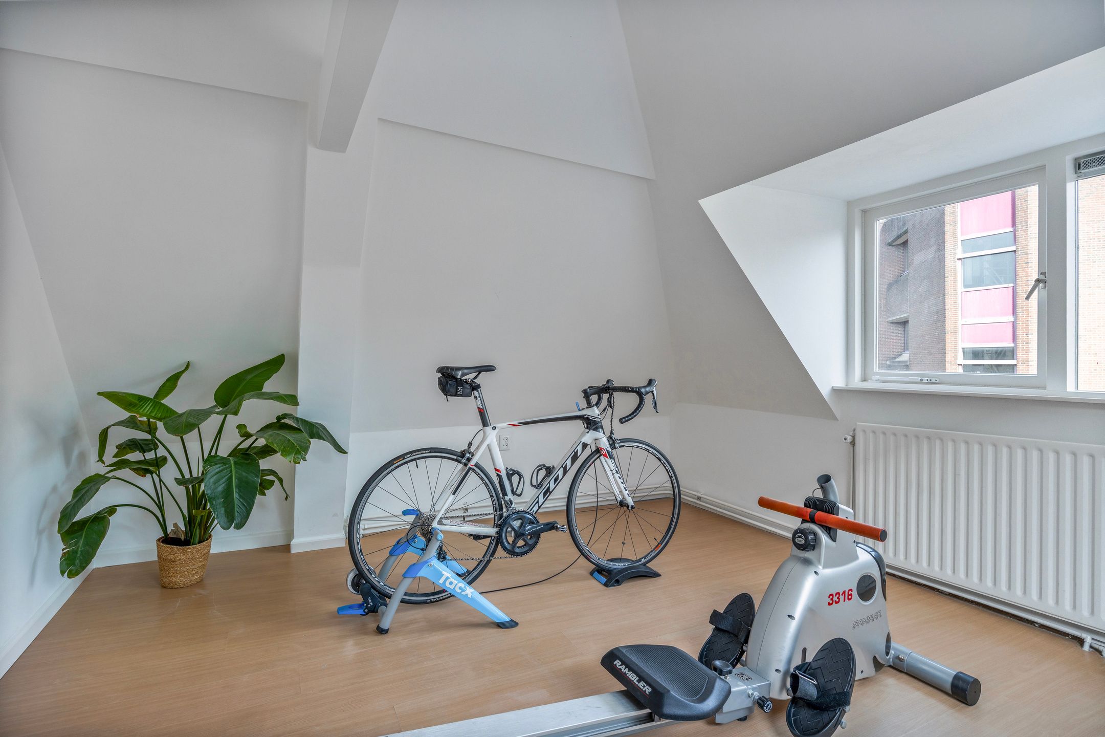 Foto 21 van Muys van Holystraat 24