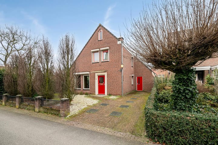 undefined main image