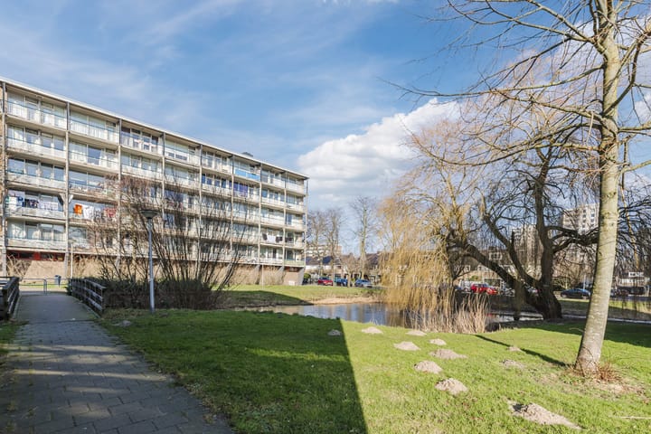 Foto 22 van Julianaplantsoen 207