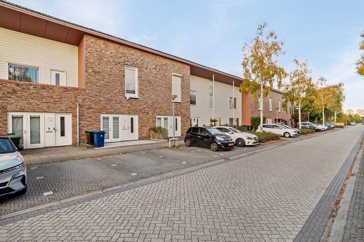 Foto 26 van Brancusistraat 61