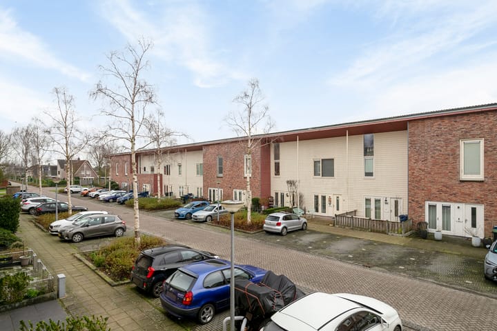 Foto 16 van Brancusistraat 61