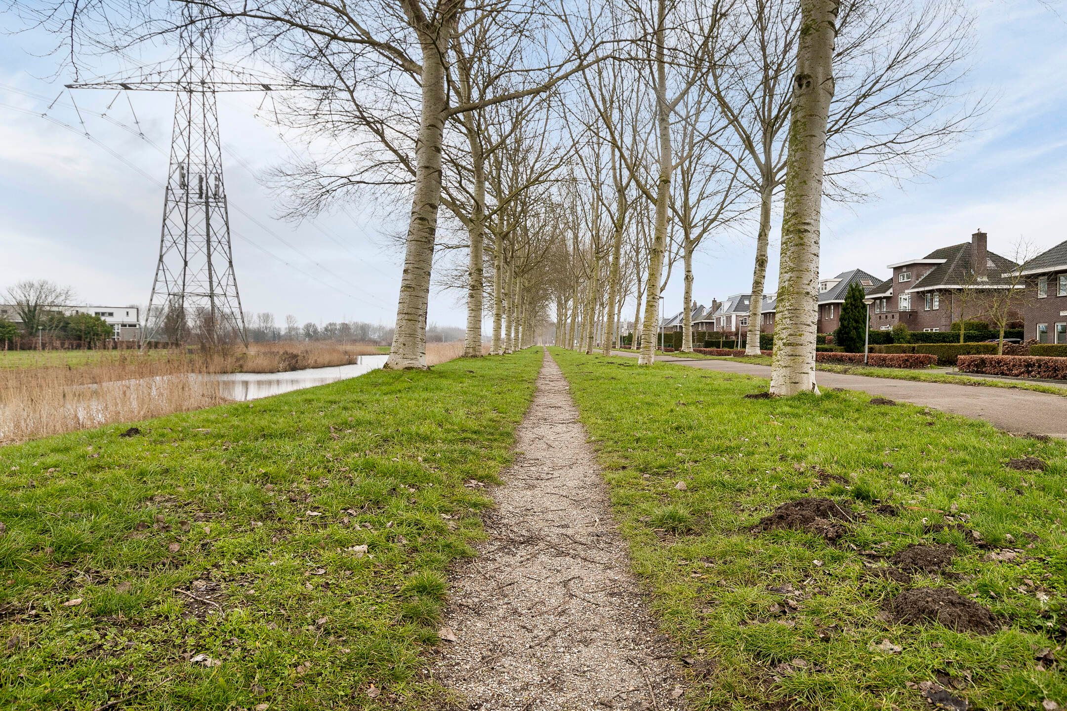 Foto 27 van Brancusistraat 61