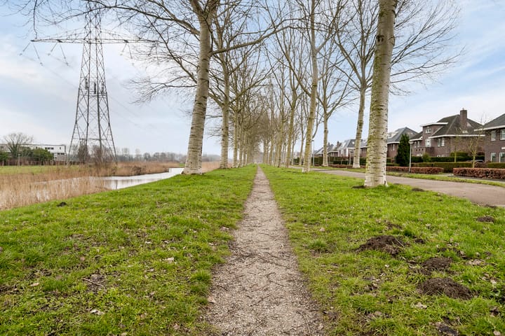 Foto 27 van Brancusistraat 61