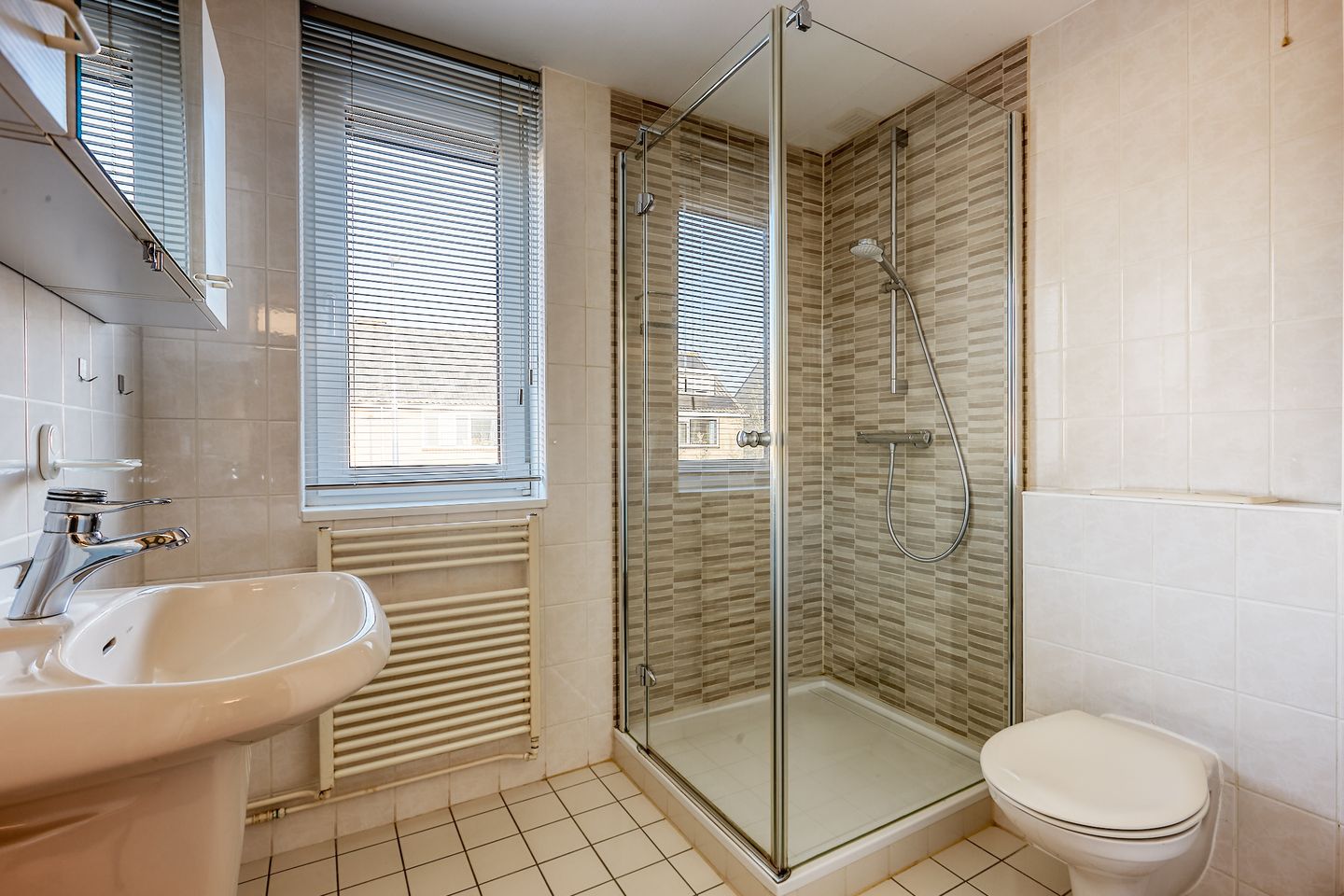 Foto 5 van Meeuwenlaan 14