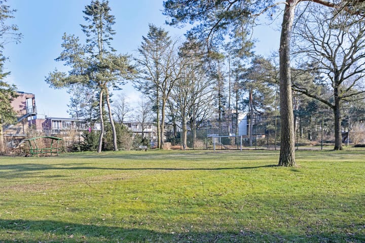 Foto 33 van Duifstraat 1