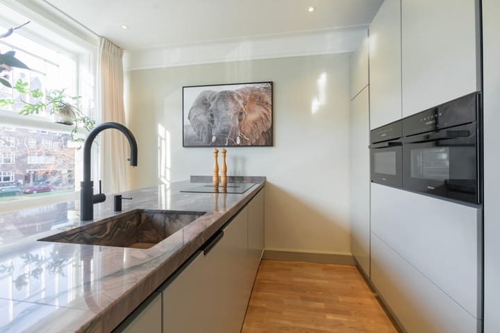 Foto 21 van Minervalaan 41-1