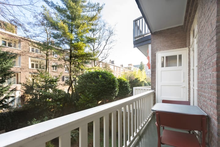 Foto 29 van Minervalaan 41-1