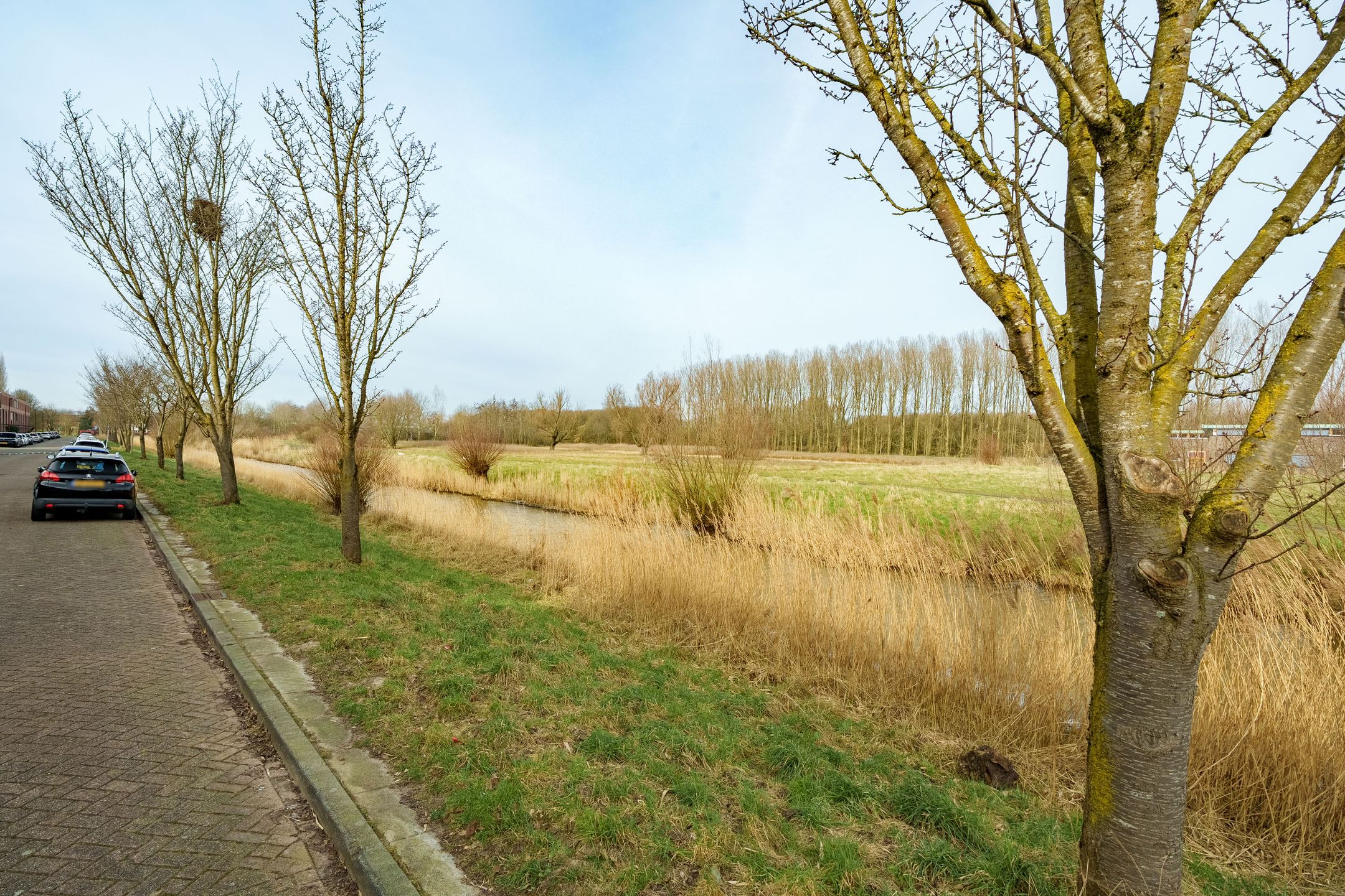 Photo 3 of Stijn Streuvelshove 19