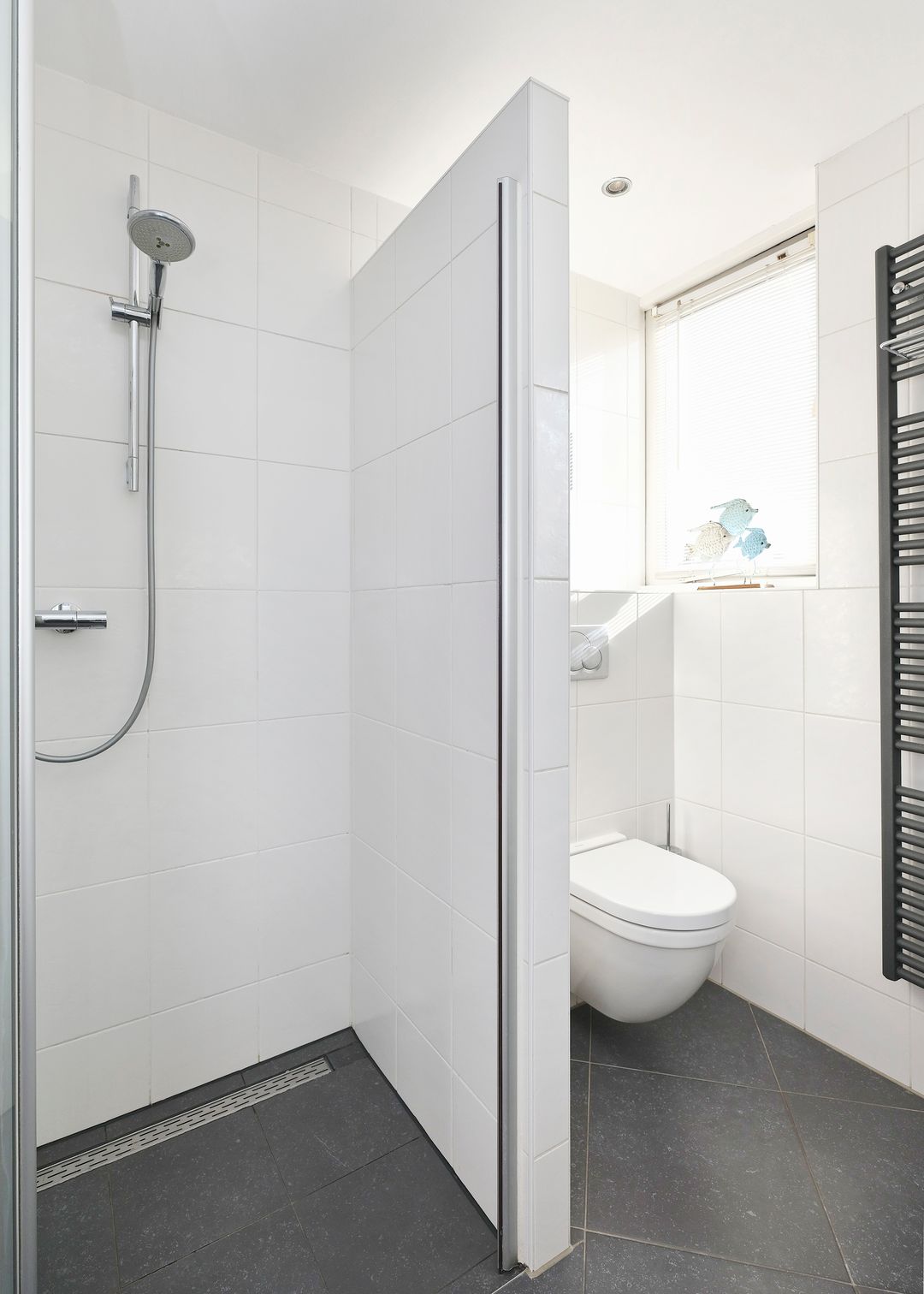 Foto 17 van Dieringerlaan 7