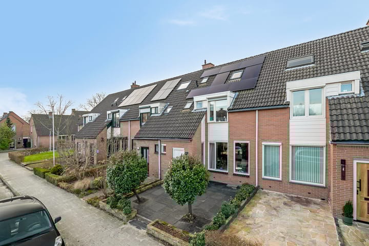 Foto 5 van Anemoonpad 35