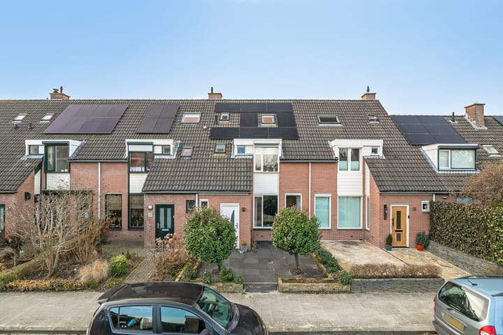 Foto 6 van Anemoonpad 35