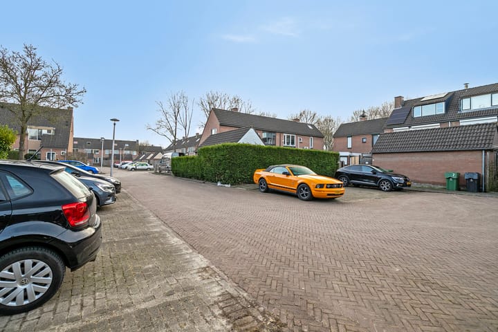 Foto 34 van Anemoonpad 35