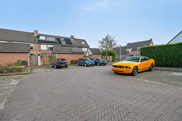 Foto 35 van Anemoonpad 35