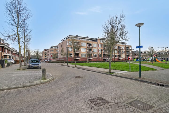 Foto 36 van Anemoonpad 35