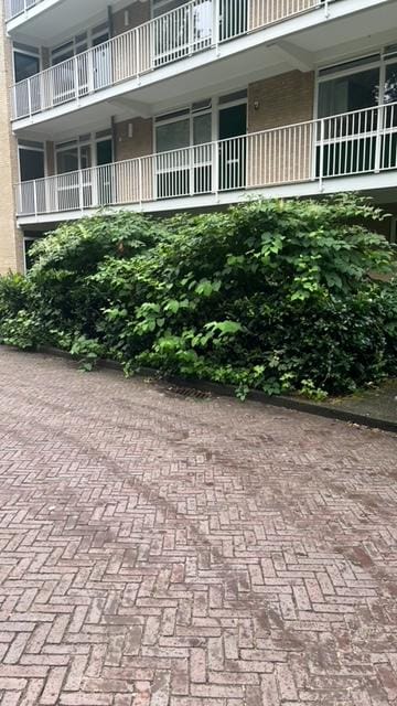 Foto 1 van Ketsheuvel 5