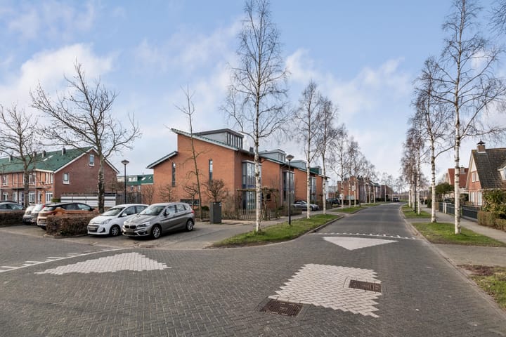 Foto 60 van Else van den Banlaan 9