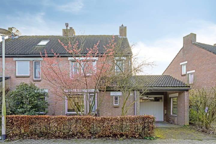 Foto 1 van Vierbanse Gantel 6