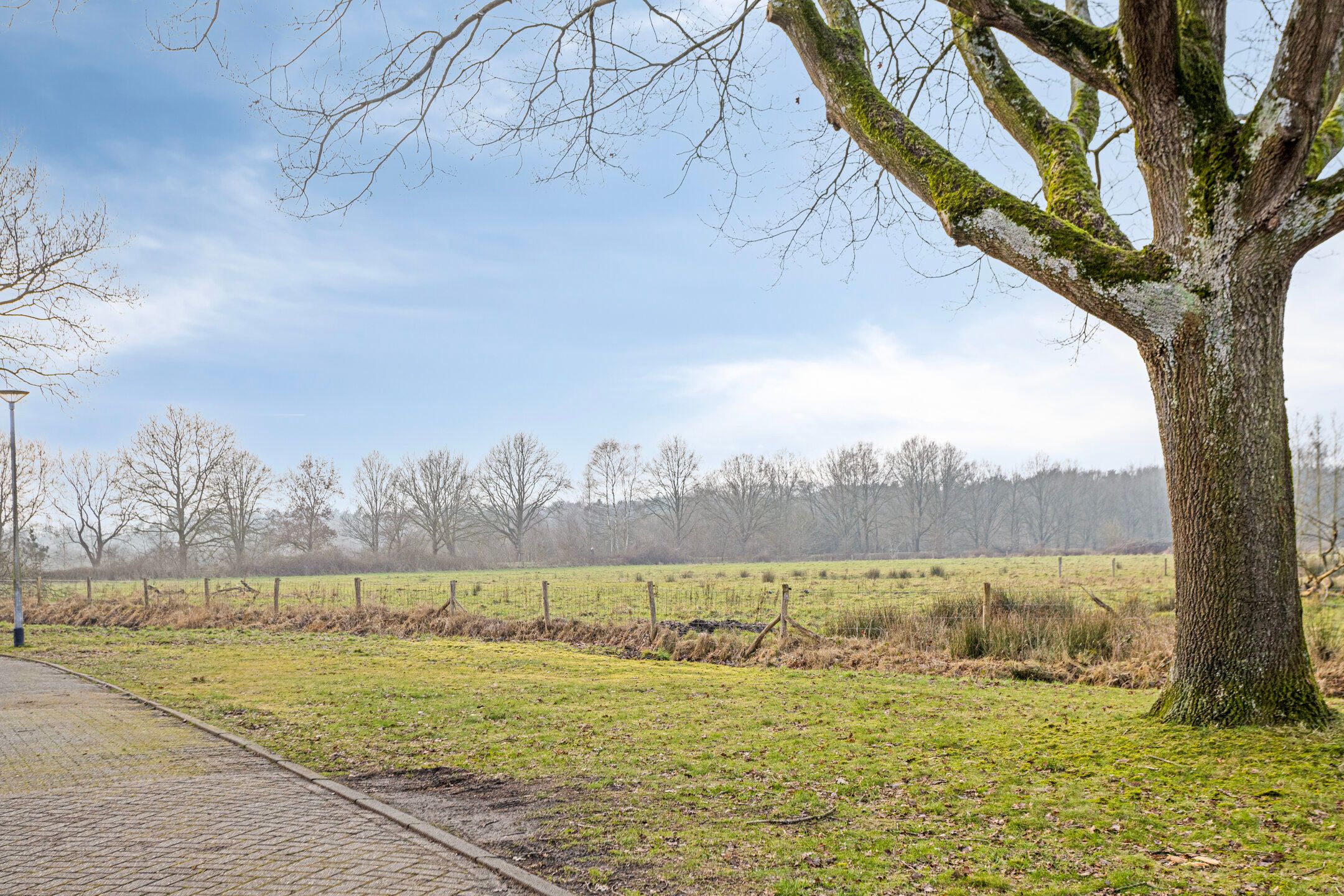 Foto 45 van Vierbanse Gantel 6