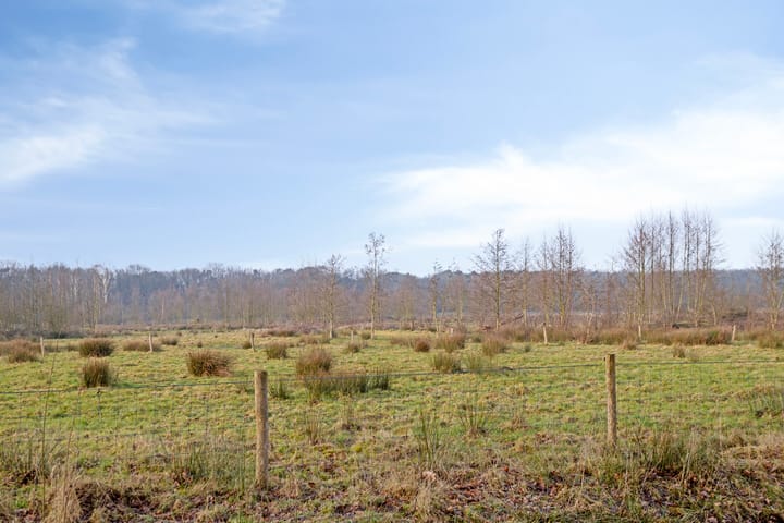 Foto 46 van Vierbanse Gantel 6