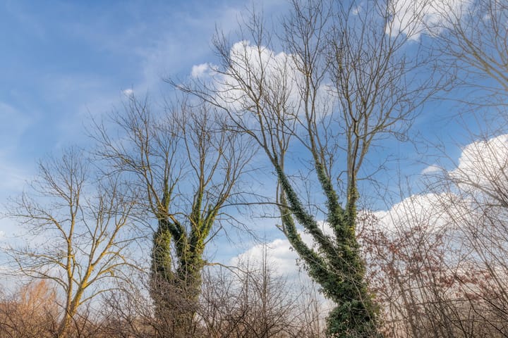 Foto 38 van Petronella Moensstraat 5