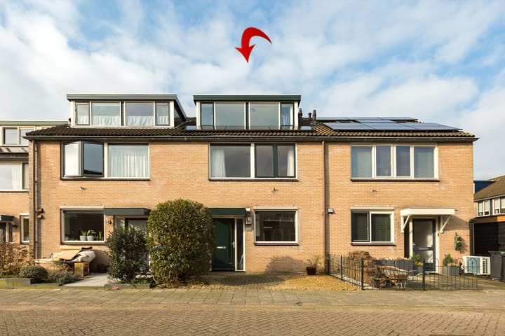 Foto 1 van Boekweitveld 33