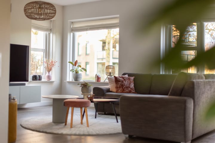 Foto 11 van Hooiland 60