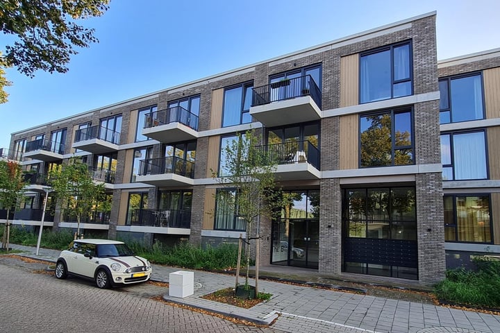 Otterstraat 53