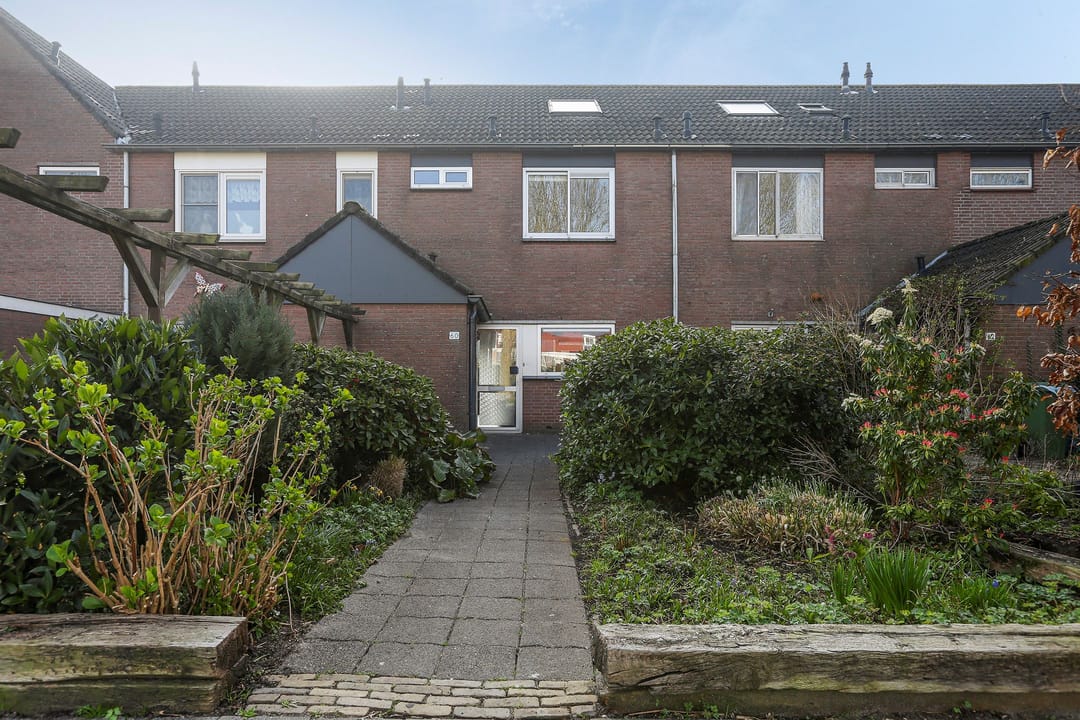 Foto 1 van Weidezoom 60