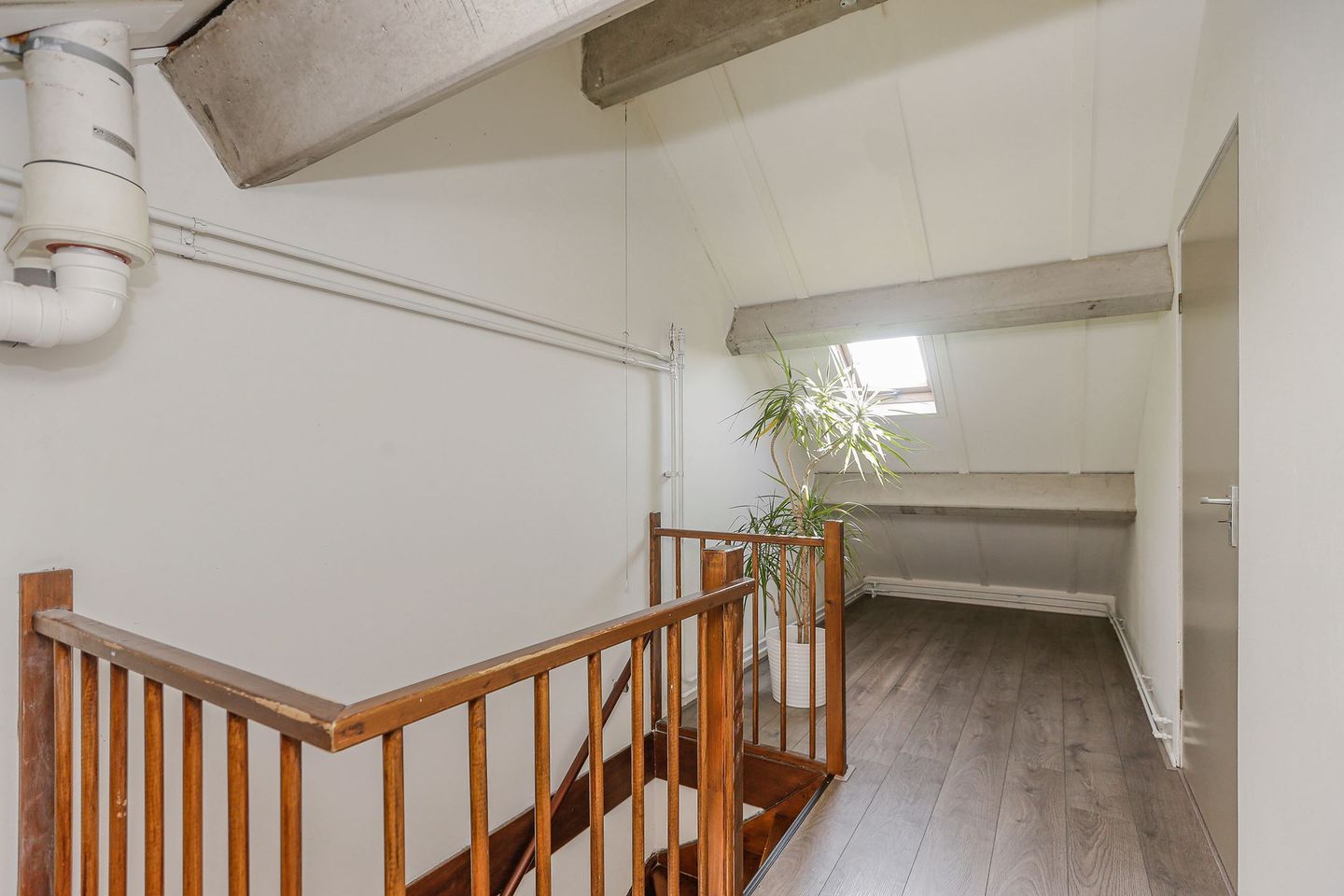 Foto 29 van Weidezoom 60