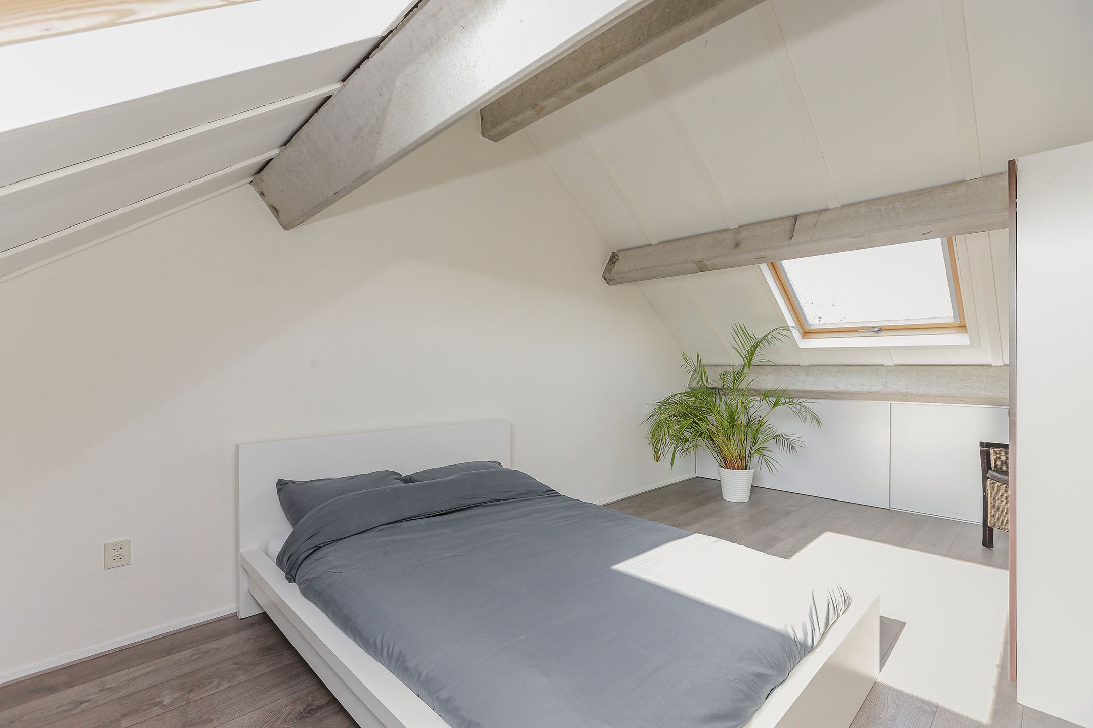 Foto 9 van Weidezoom 60