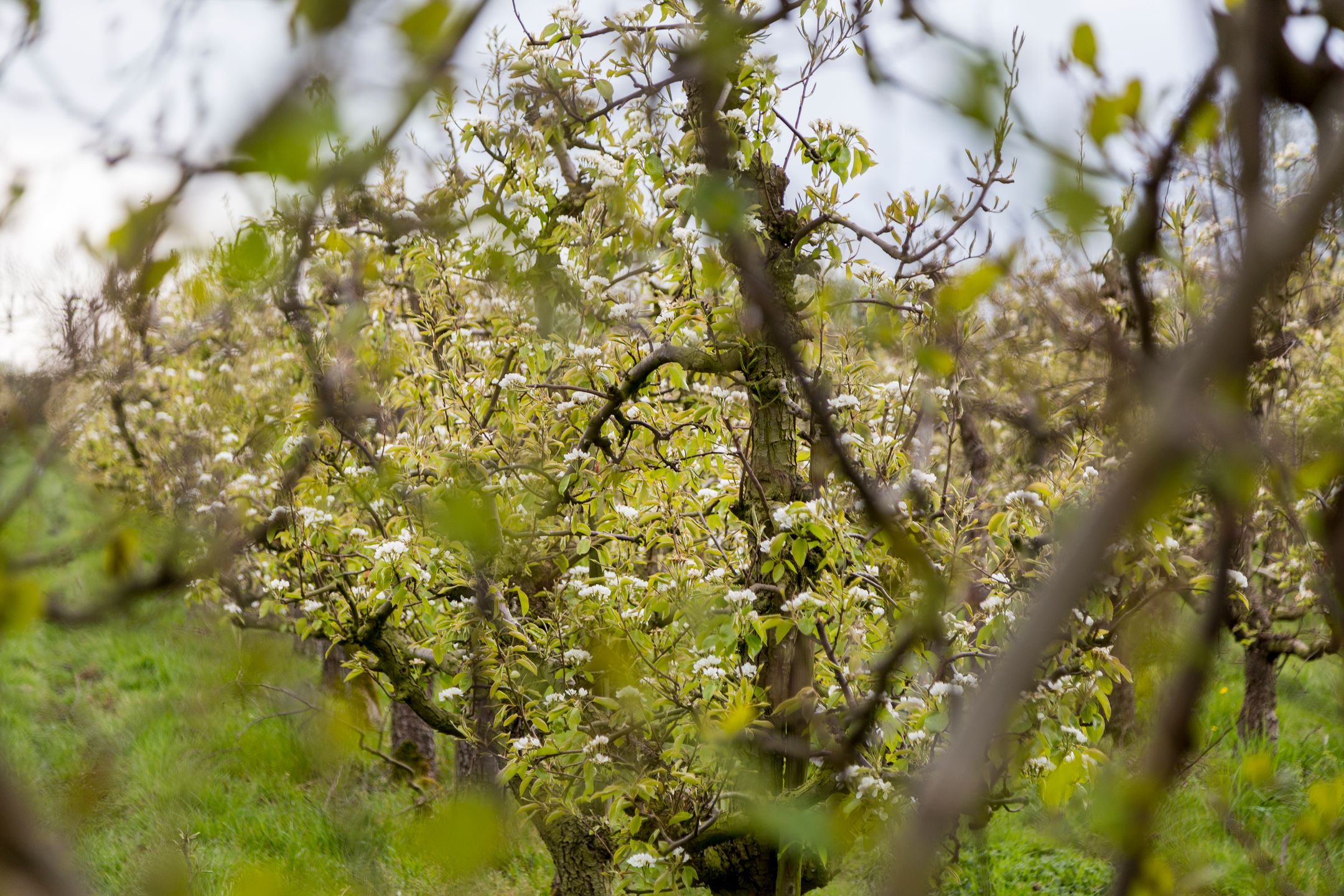 Foto 24 van Hemstraat 30