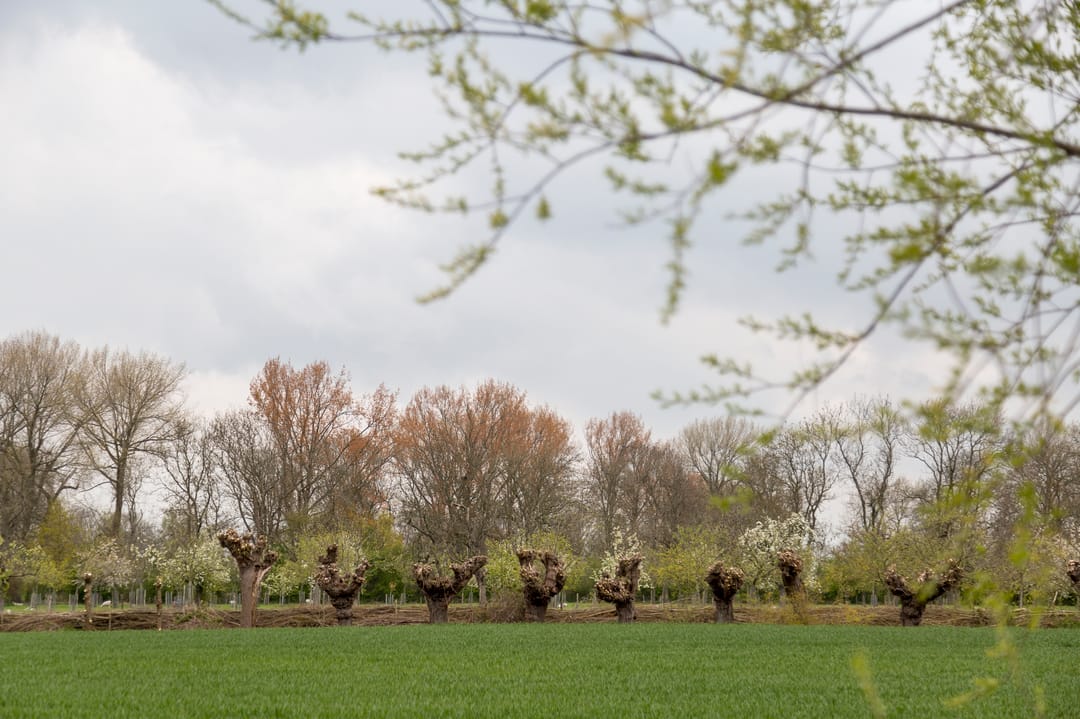 Foto 26 van Hemstraat 30