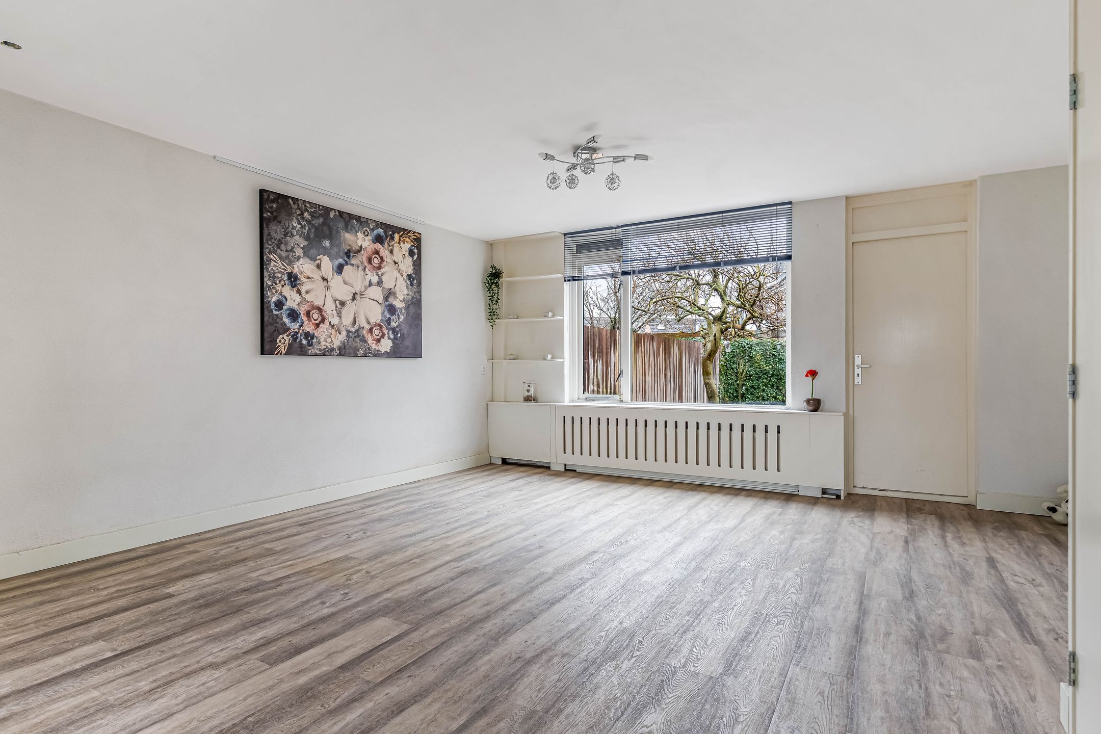 Foto 3 van Fluitekruid 58