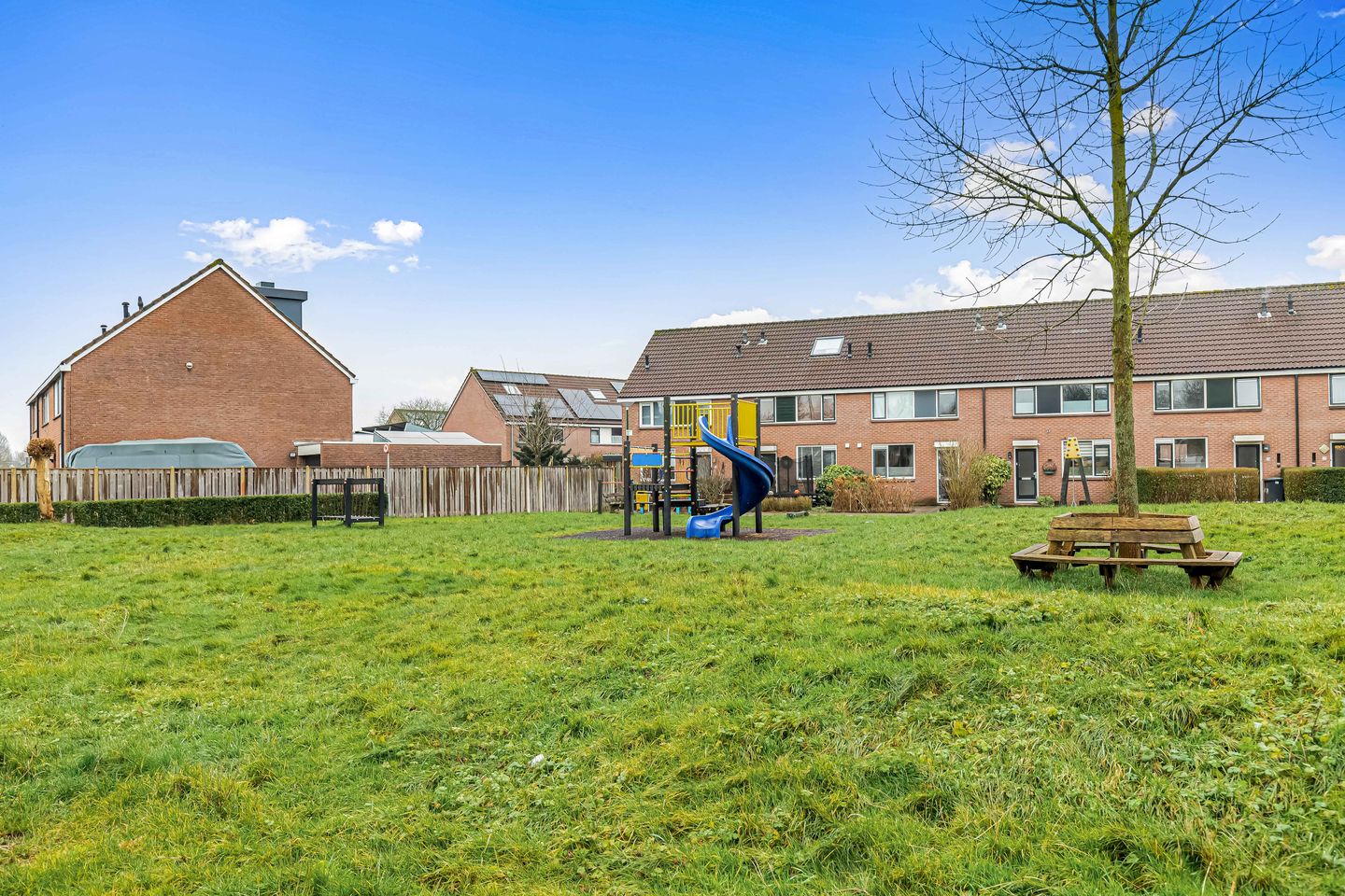 Foto 5 van Fluitekruid 58