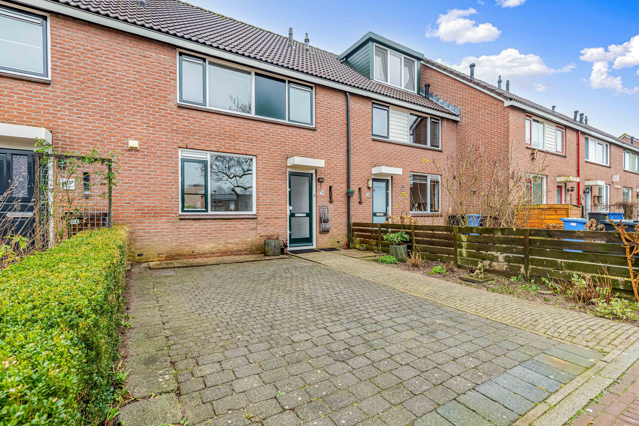 Foto 6 van Fluitekruid 58