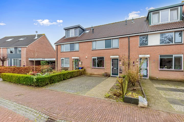 Foto 7 van Fluitekruid 58