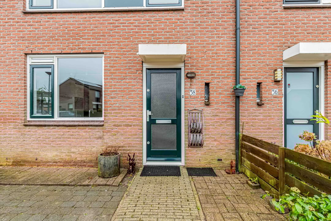 Foto 8 van Fluitekruid 58