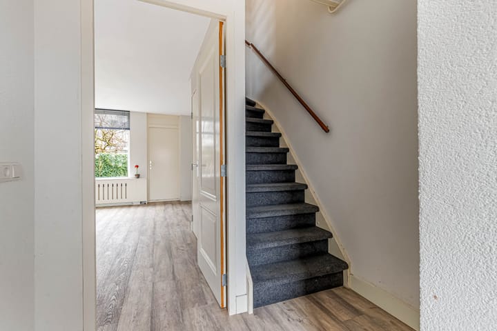 Foto 9 van Fluitekruid 58